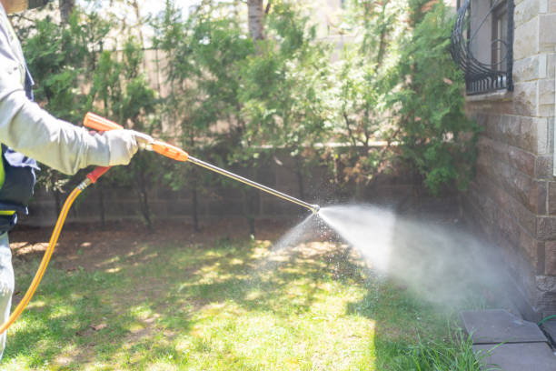 Best Wasp Removal Services  in Morganville, NJ