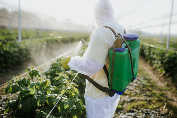 Best Affordable Exterminators  in Morganville, NJ